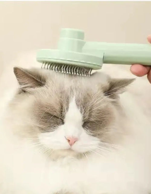 Load image into Gallery viewer, Cat Grooming Brush - KB General Store
