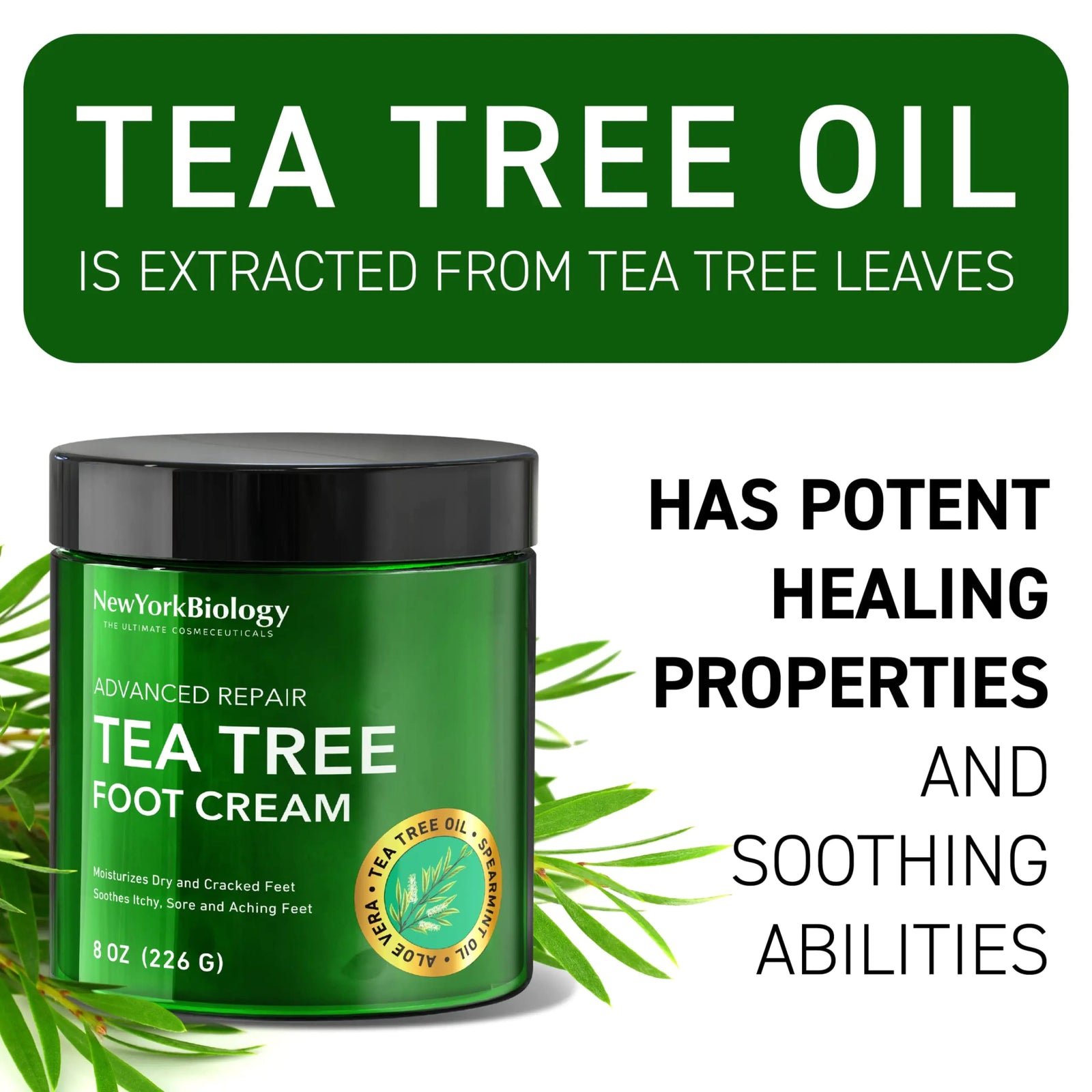 New York Biology Tea Tree Oil Foot Cream for Dry Cracked Feet, Athletes Foot, Nail Fungus, Jock Itch, Ringworm, Cracked Heels and Itchy Skin - Foot Cream - 8 oz Tea Tree - 8.00 Ounce (Pack of 1) 8.00 Ounce (Pack of 1) - KB General Store