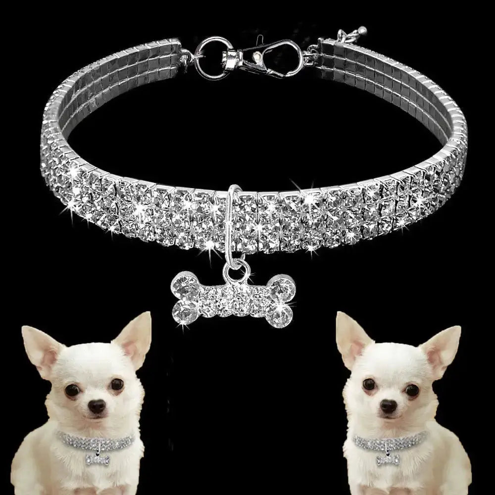 Pet Collar - KB General Store