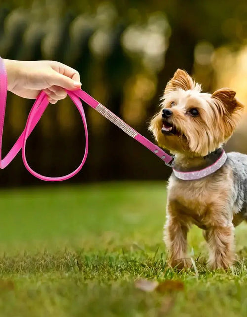 Cargue la imagen en el visor de la galería, Pet Collar - KB General Store
