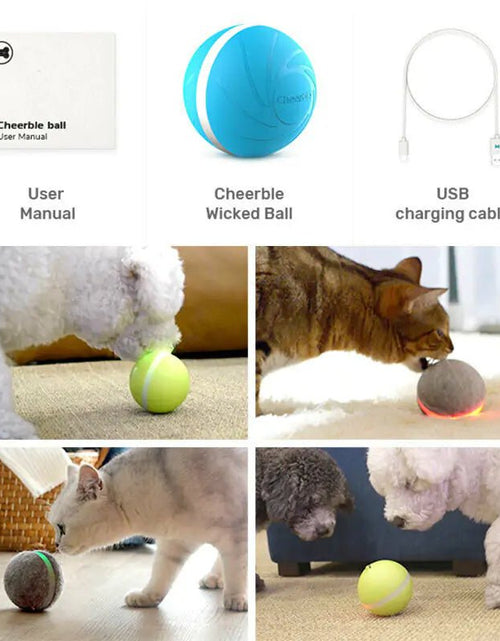 Load image into Gallery viewer, LED Pet Ball - KB General Store
