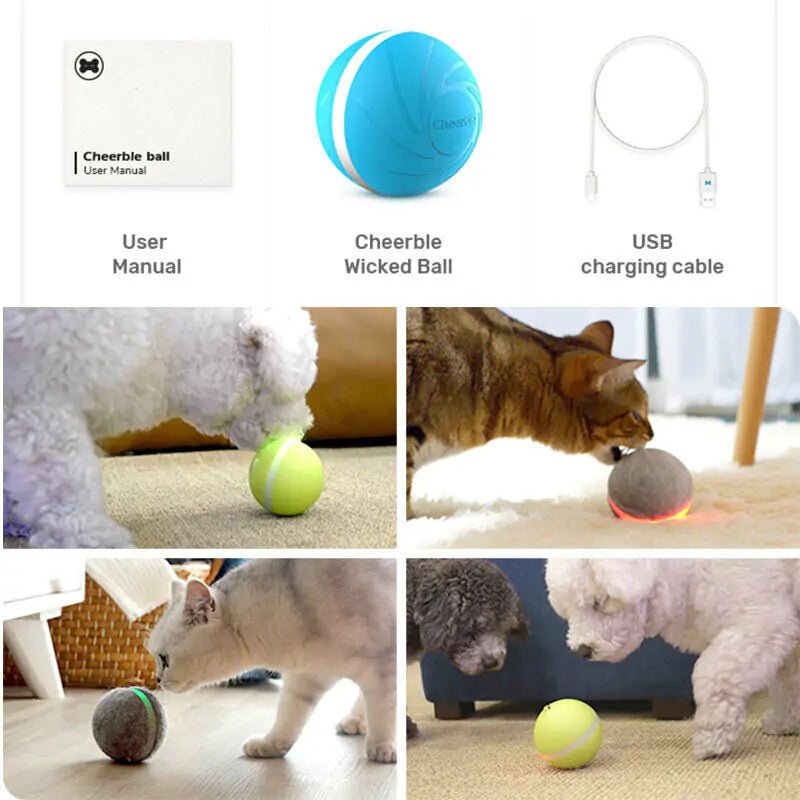 LED Pet Ball - KB General Store