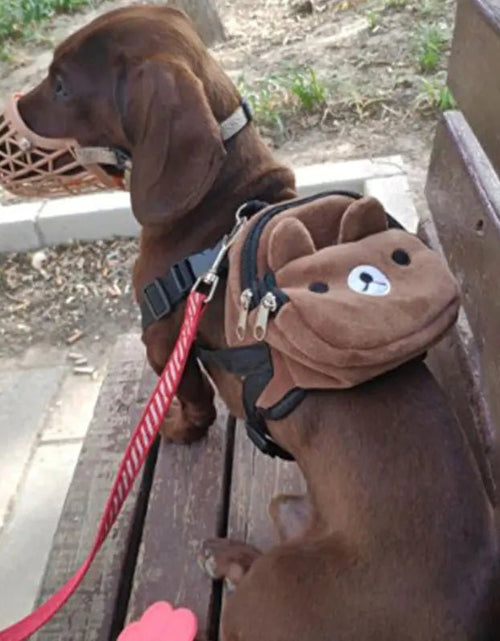 Cargue la imagen en el visor de la galería, Pet Backpack - KB General Store
