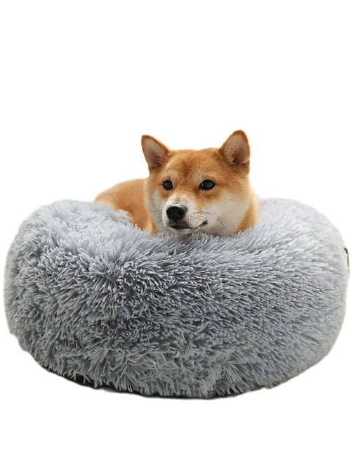 Cargue la imagen en el visor de la galería, Pet Calming Bed - KB General Store
