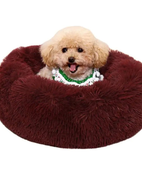 Cargue la imagen en el visor de la galería, Pet Calming Bed - KB General Store
