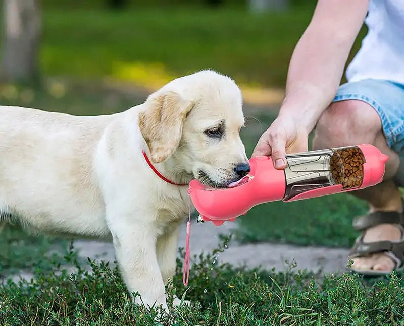 Pet Feeder™ - KB General Store