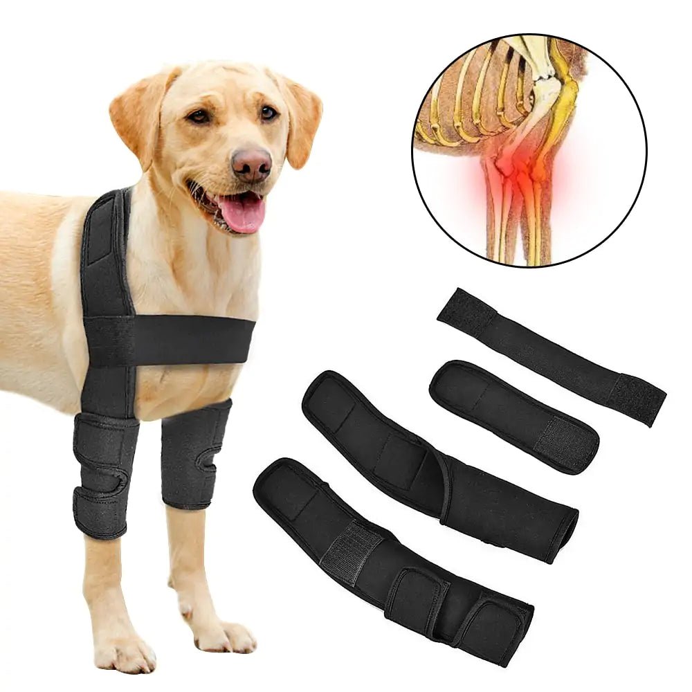 Pet Leg Support - KB General Store