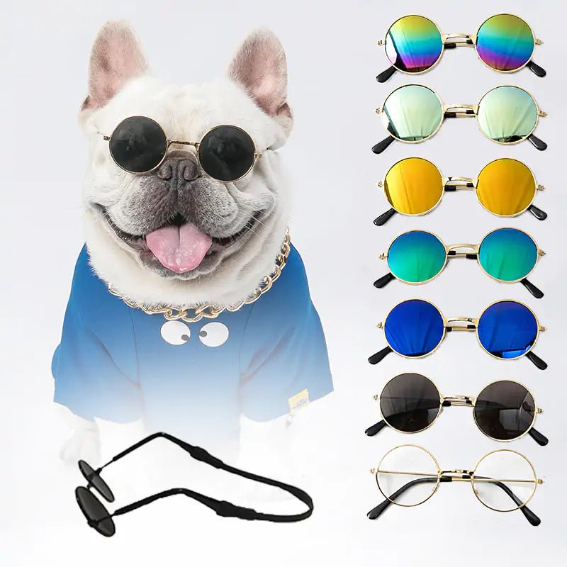 Pet Sunglasses - KB General Store