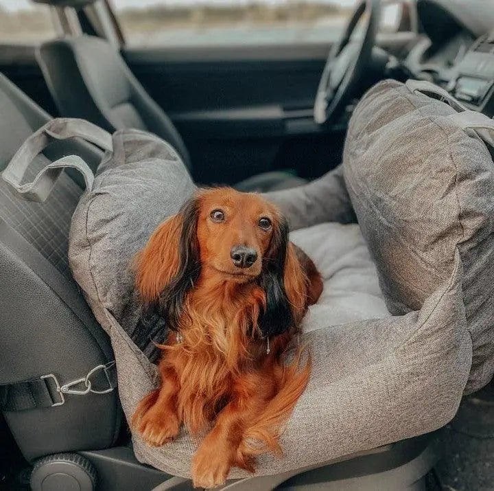 Pet Travel Bed - KB General Store