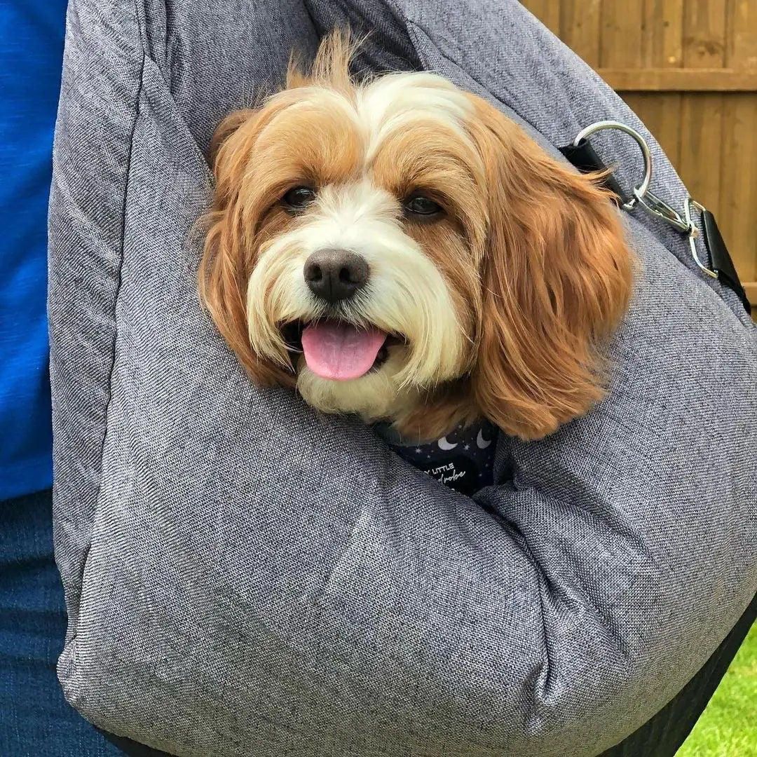 Pet Travel Bed - KB General Store