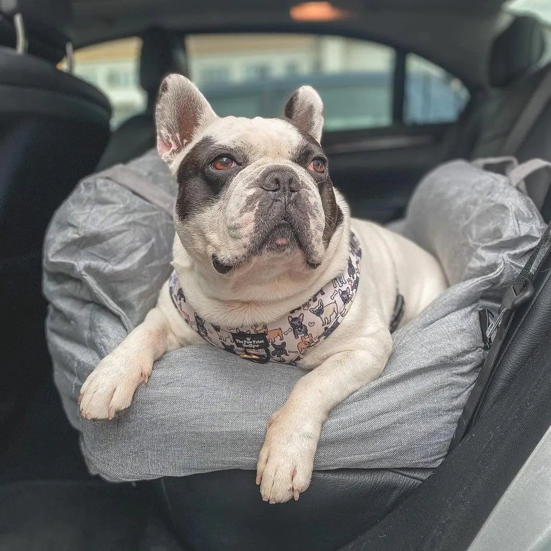 Pet Travel Bed - KB General Store