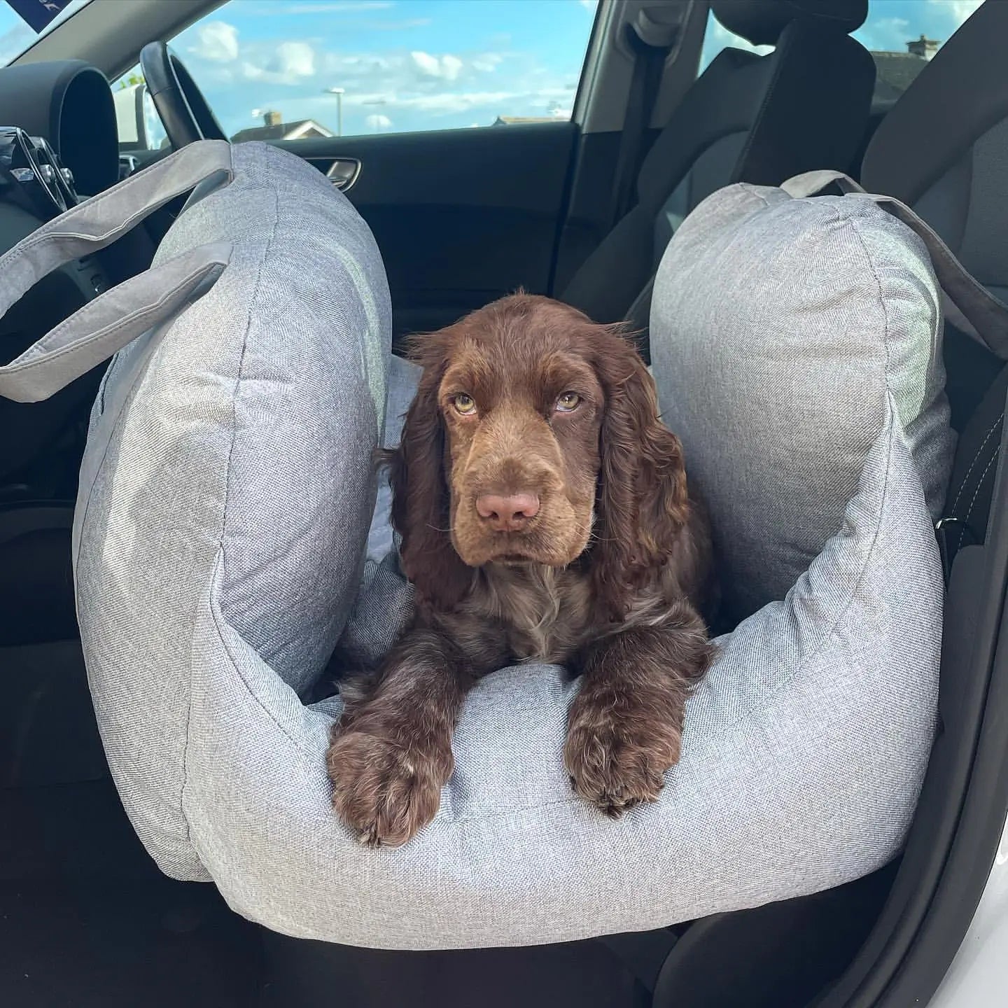 Pet Travel Bed - KB General Store