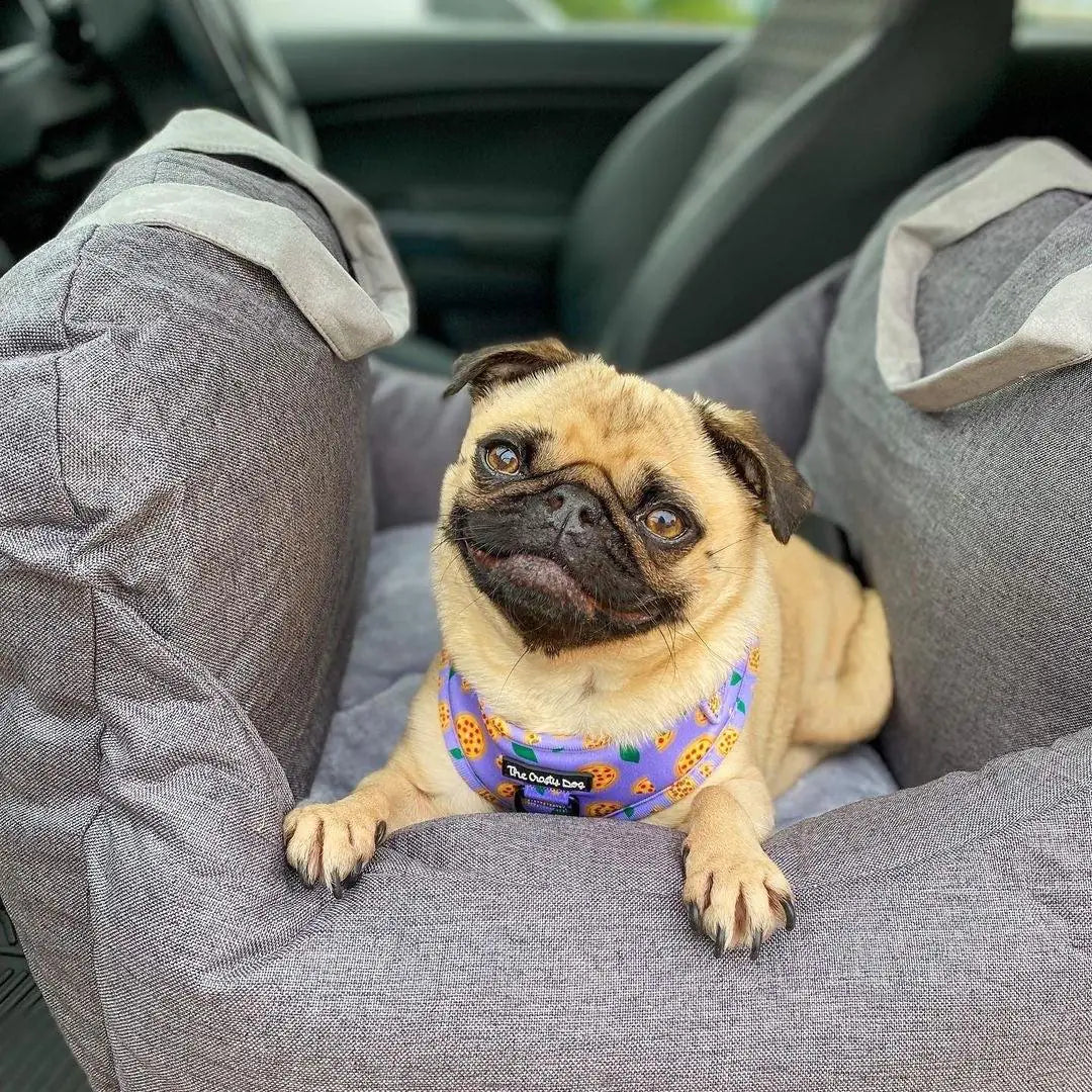 Pet Travel Bed - KB General Store