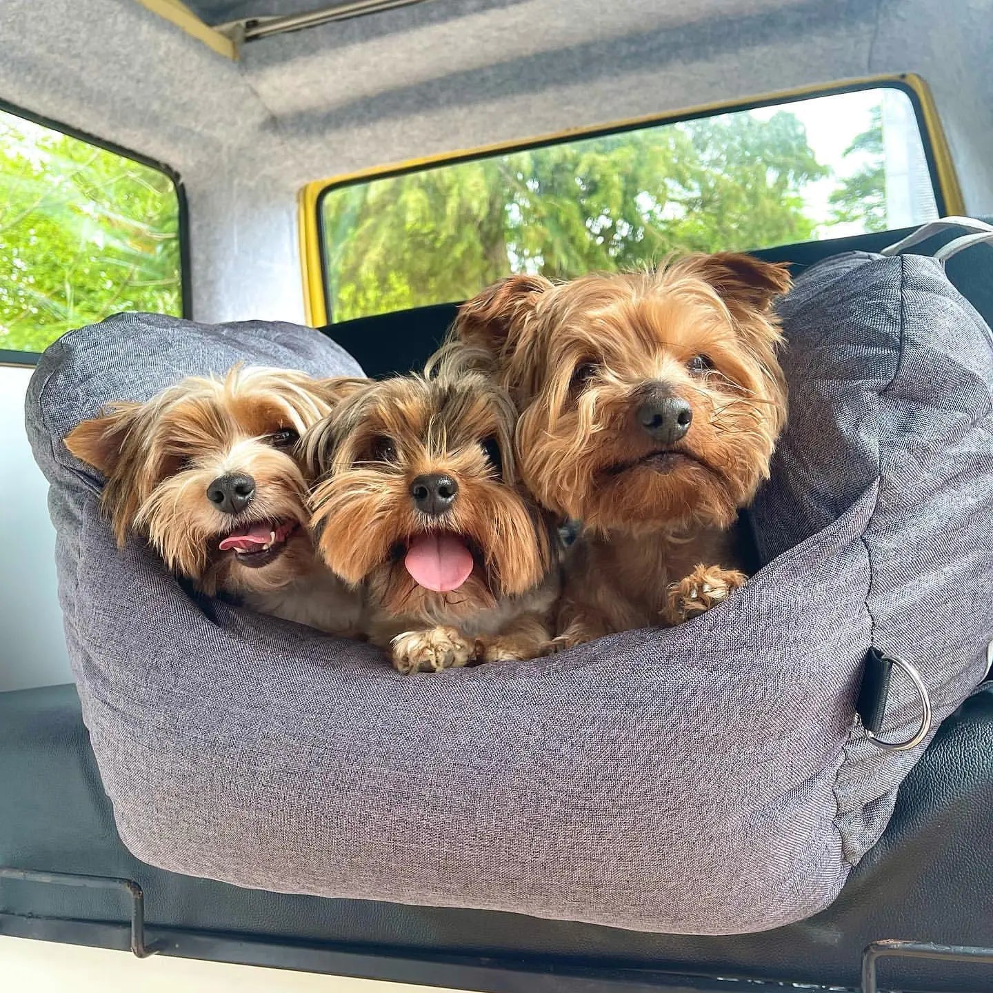 Pet Travel Bed - KB General Store