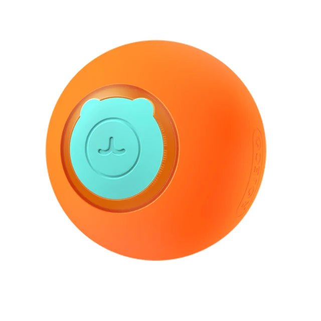 Smart Pet Toys - KB General Store
